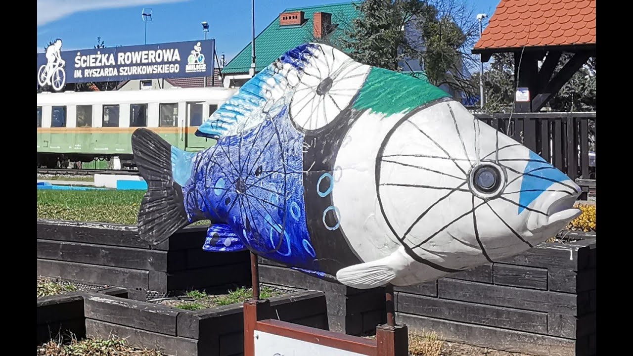 Dolina Baryczy (Stawy Milickie) rowerem