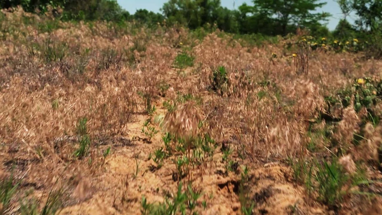 Sand Prairie | FIND Iowa