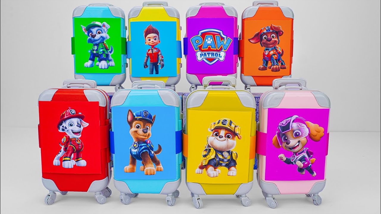 Unboxing Boxes of Paw Patrol Toys Collection | ASMR Review Random Toys