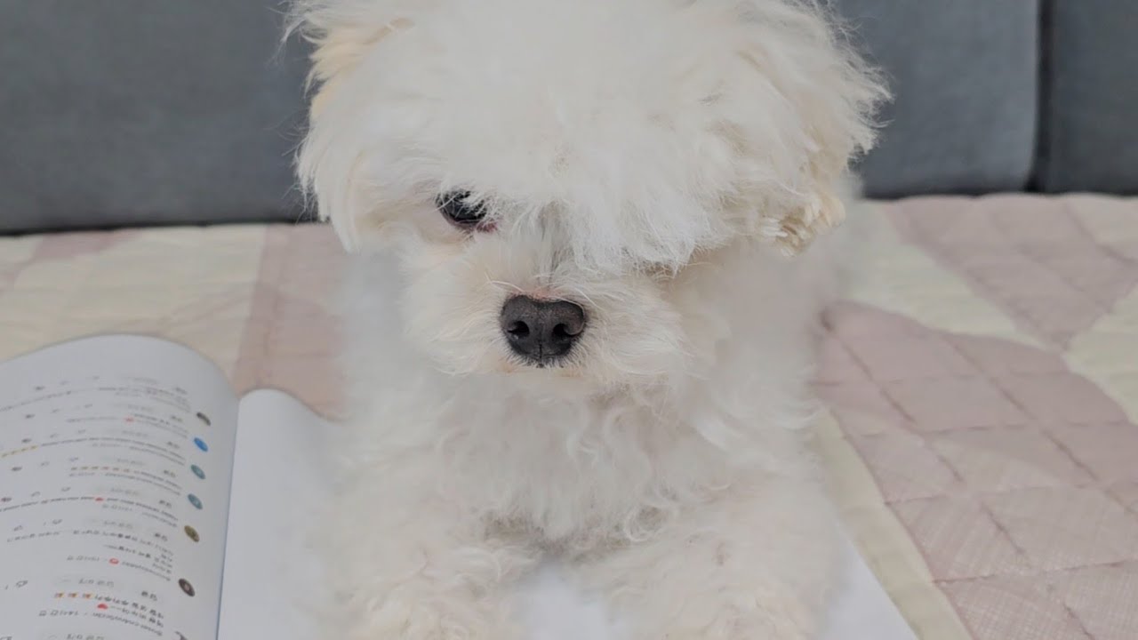 나 지금 삐진 티 내고이쒀...