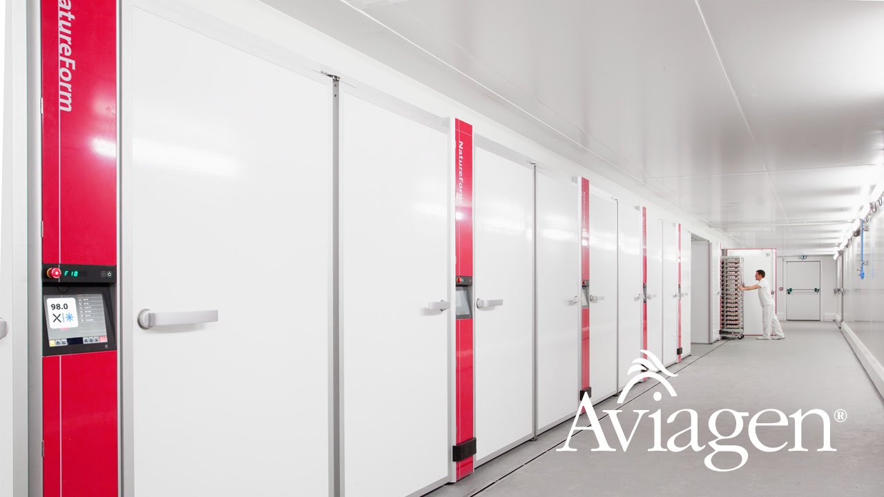 Aviagen France - Broiler GP Stock Hatchery