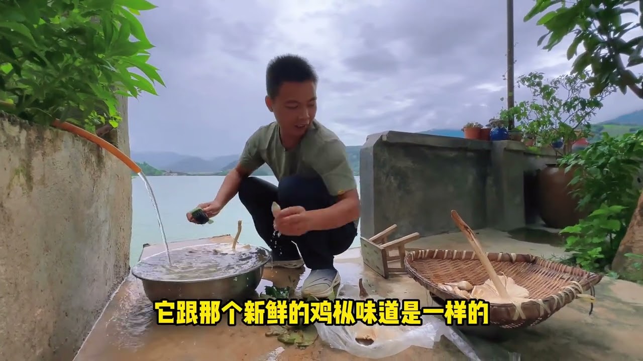 菌子季节吃不完的新鲜鸡枞菌、这样保存一年都可以吃到它的鲜美味道。 #野生菌  #鸡枞保存方法 #大山里的味道