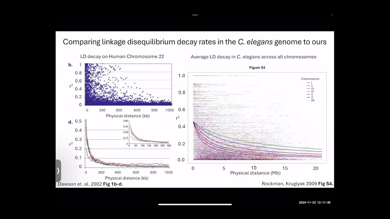 Optimizing genome-wide association methodologies for Caenorhabditis elegans and other model organism