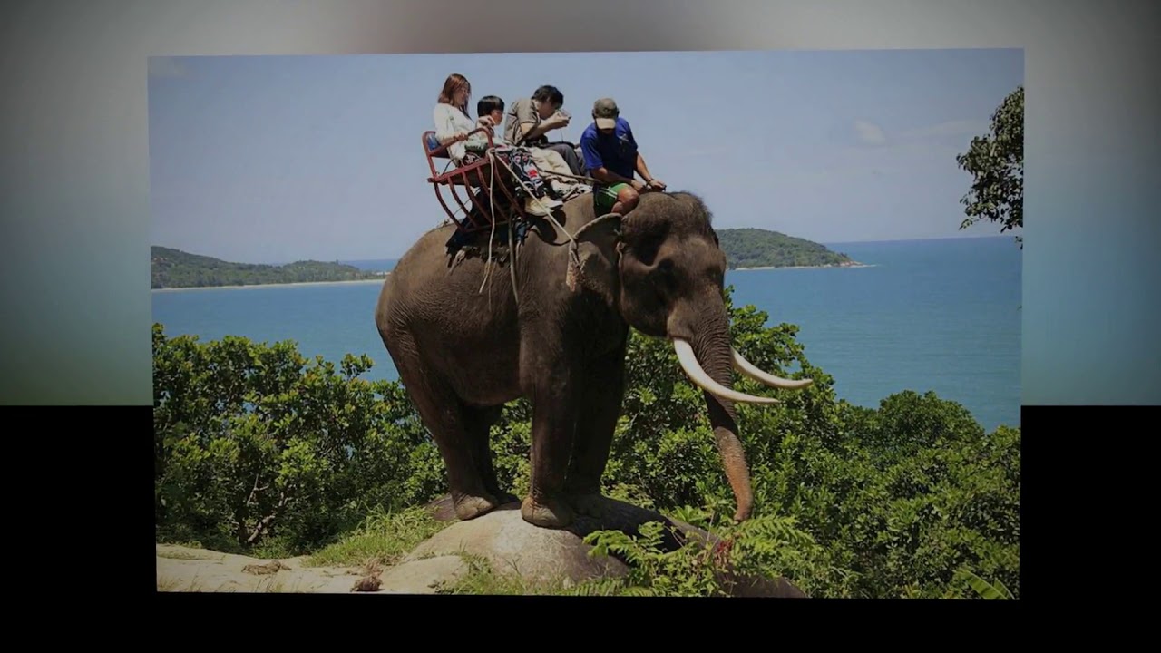 African Women In the Safari Industry