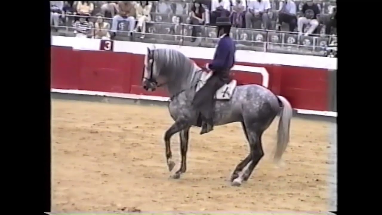 Óscar Borjas y Bolero plaza de toros de Santoña