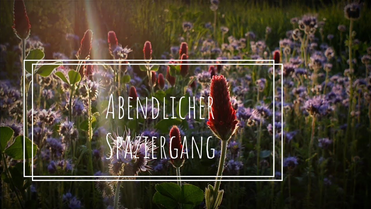 Meine abendliche Runde gegen Stress im Alltag