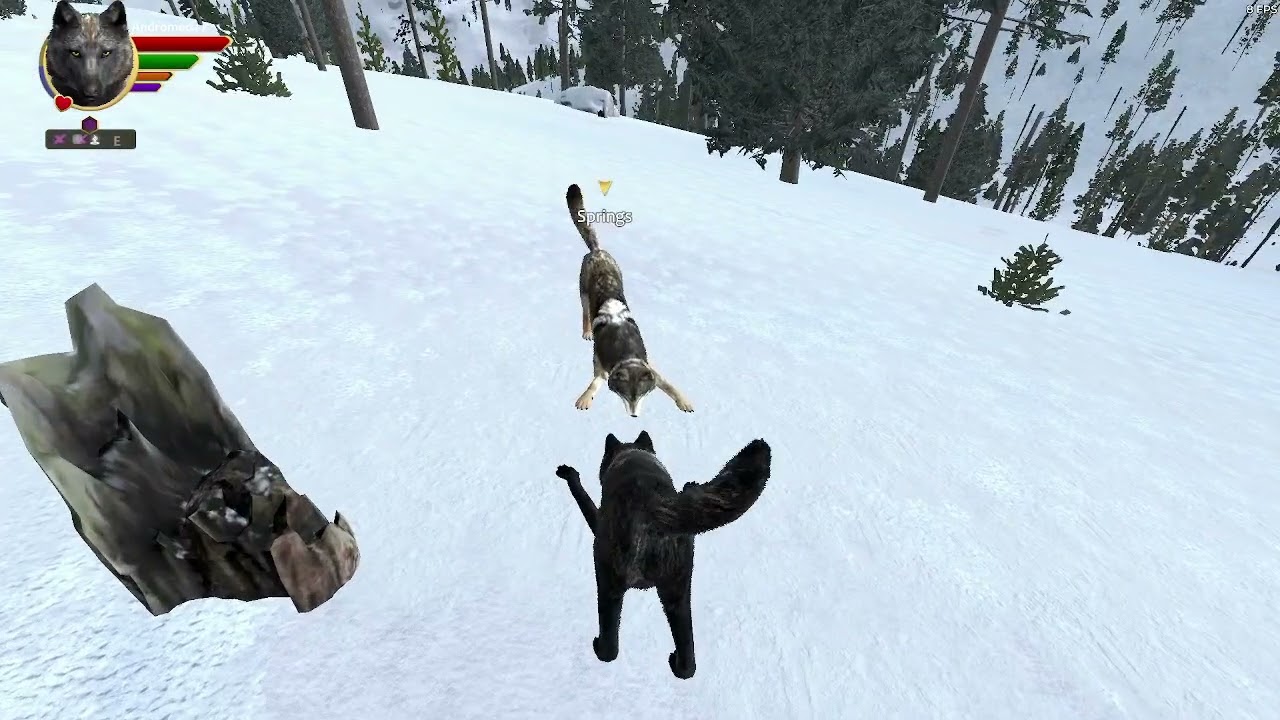 White Elk Search W/ Diamond