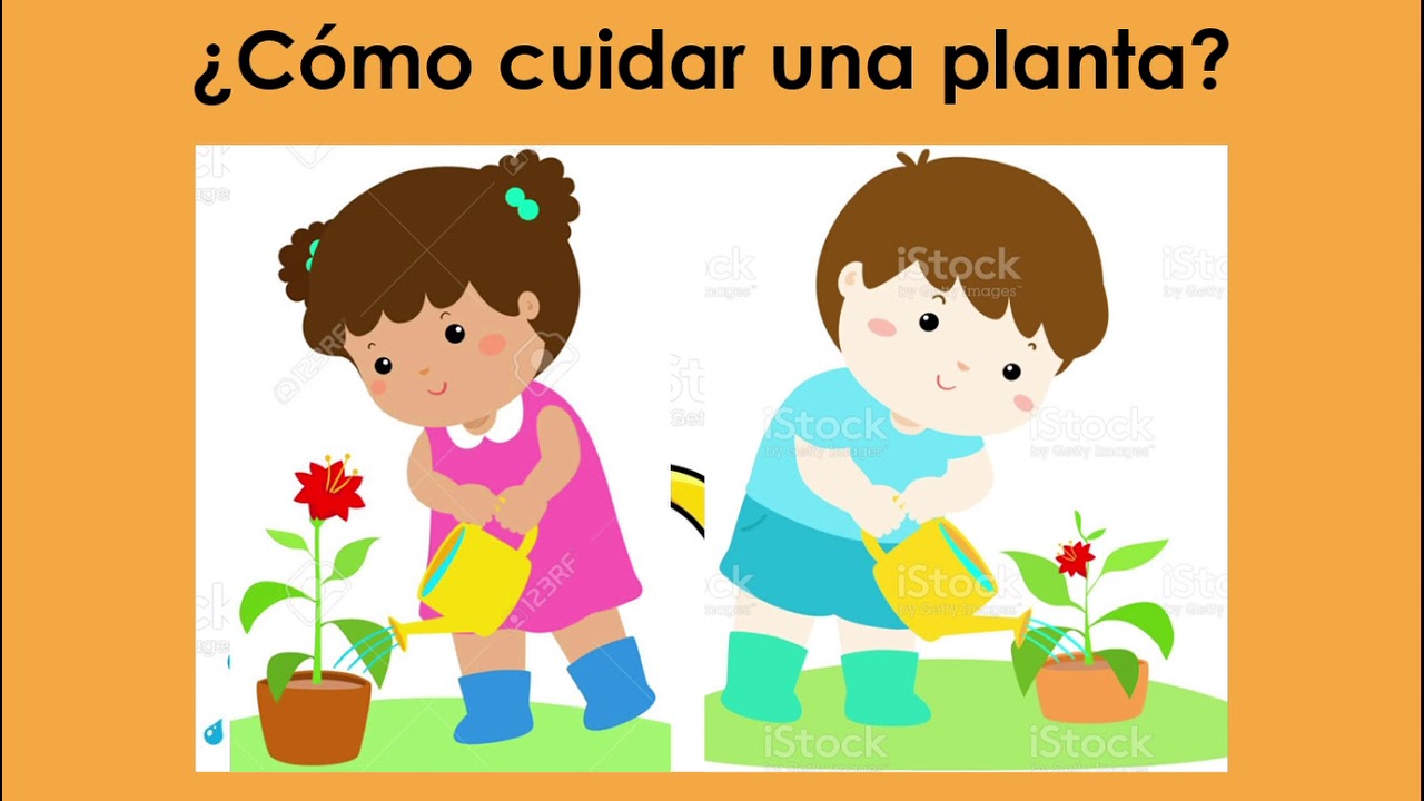 &iquest;C&oacute;mo cuidar una planta?