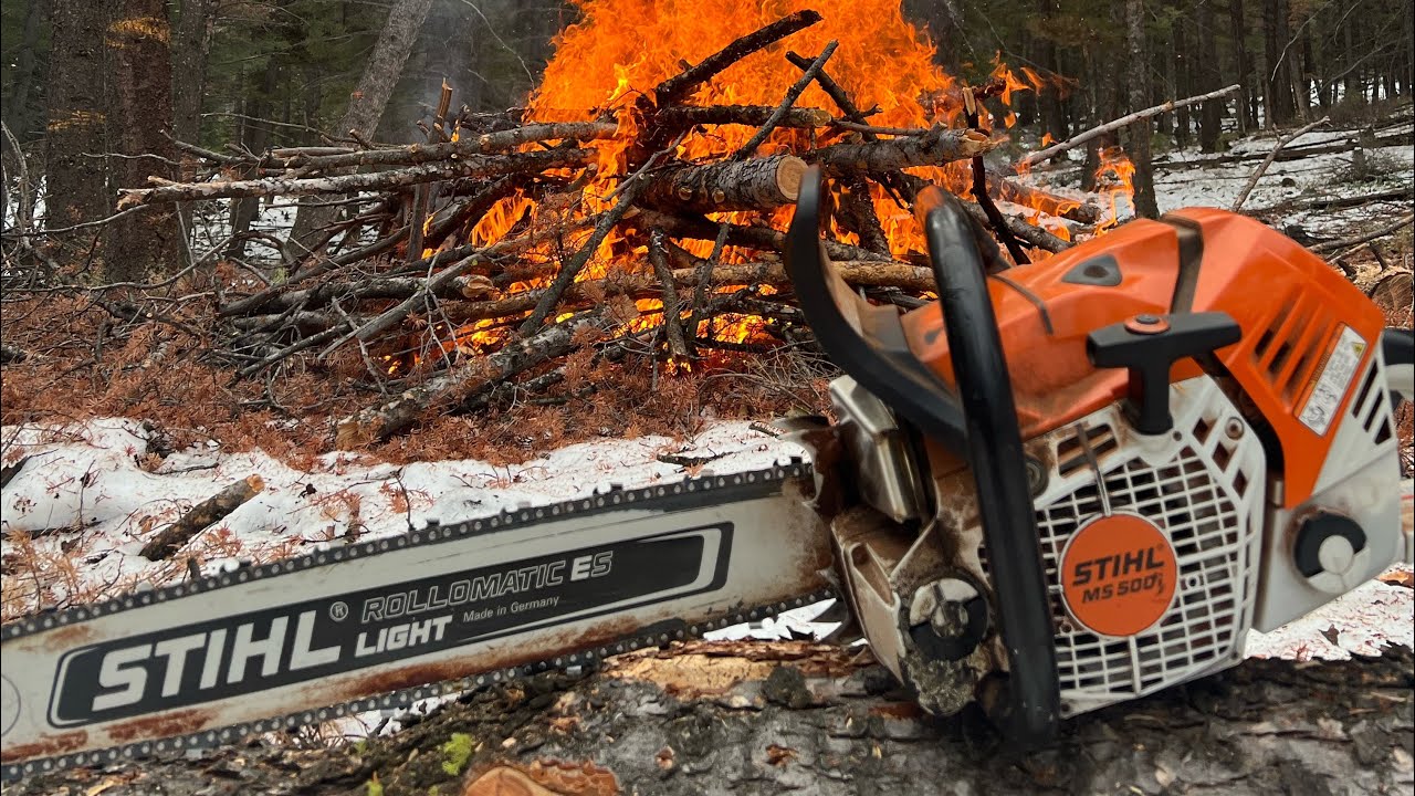 TreeFelling Compilation (Ep.3) 