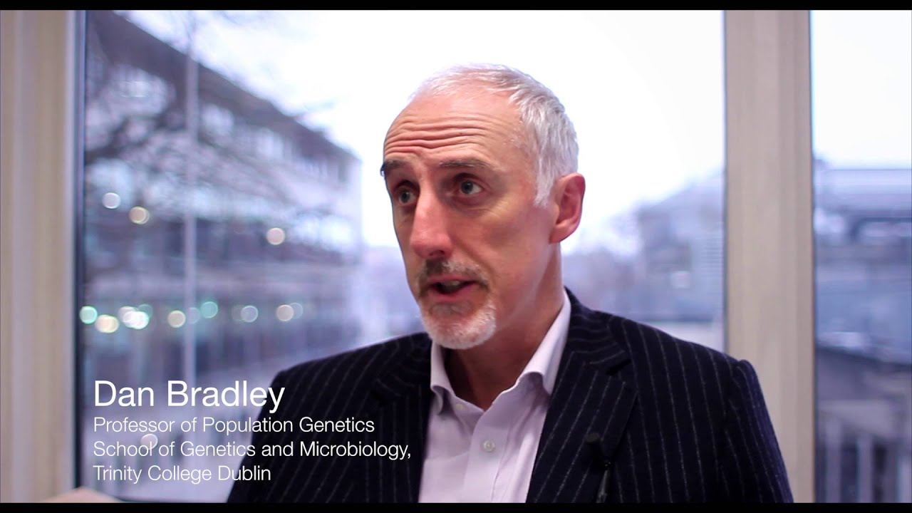 Reading the Past in Ancient Irish Genomes