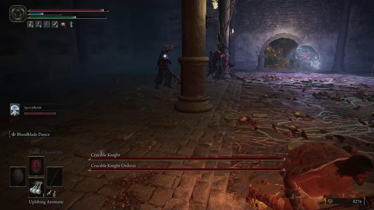Bojak Lordman Here for coop! - Elden Ring ( Summon Me On PC)