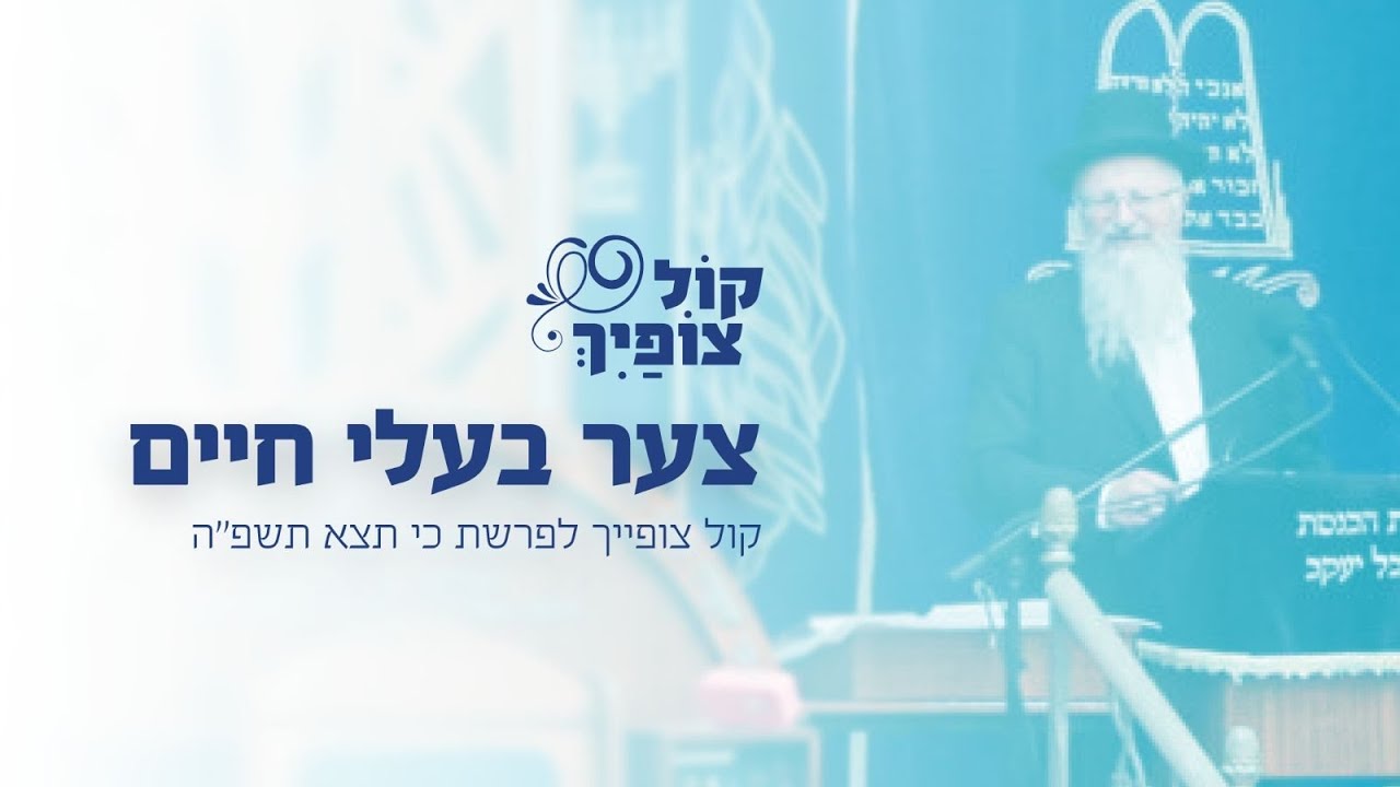 צער בעלי חיים | הרב שמואל אליהו | קול צופייך לפרשת כי תצא תשפ