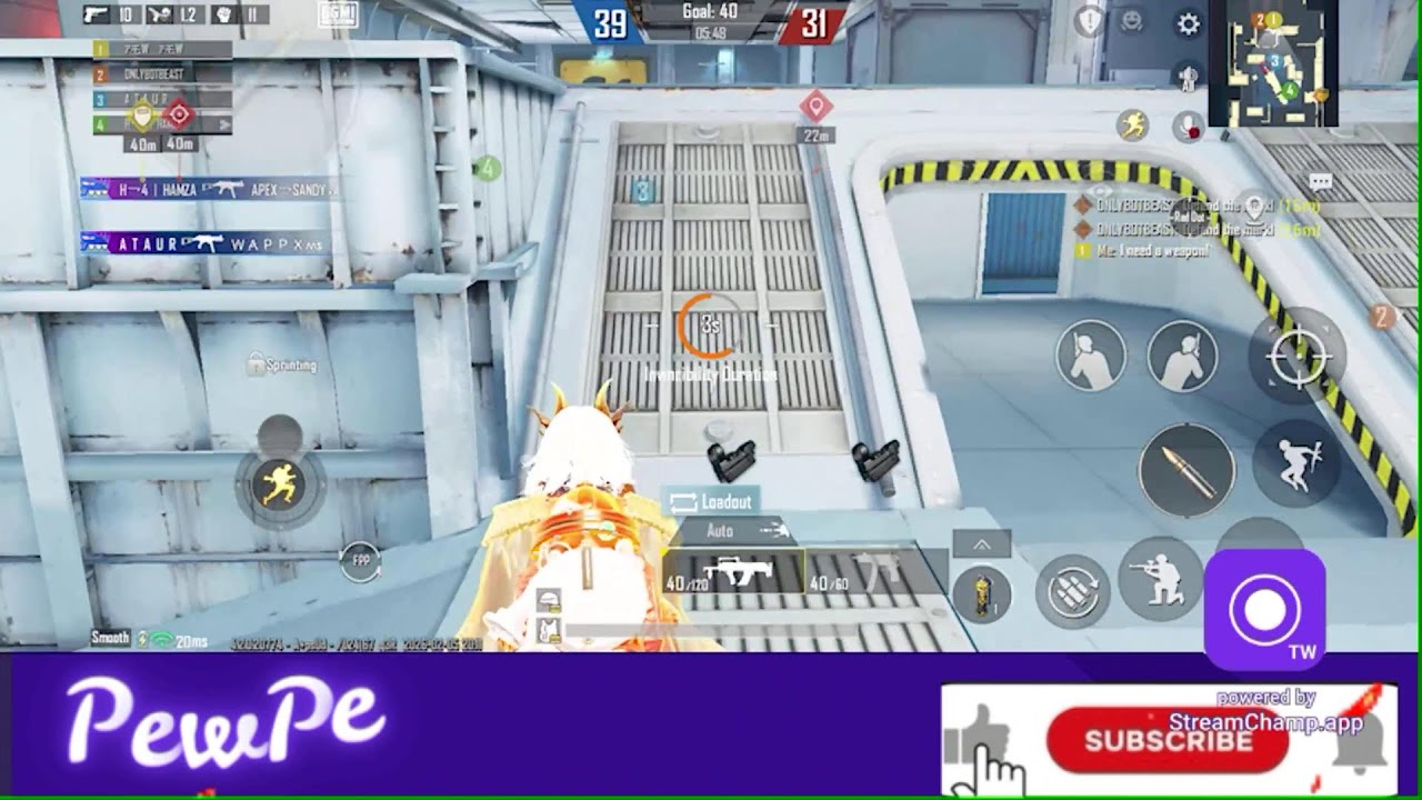 Live Stream Day 16