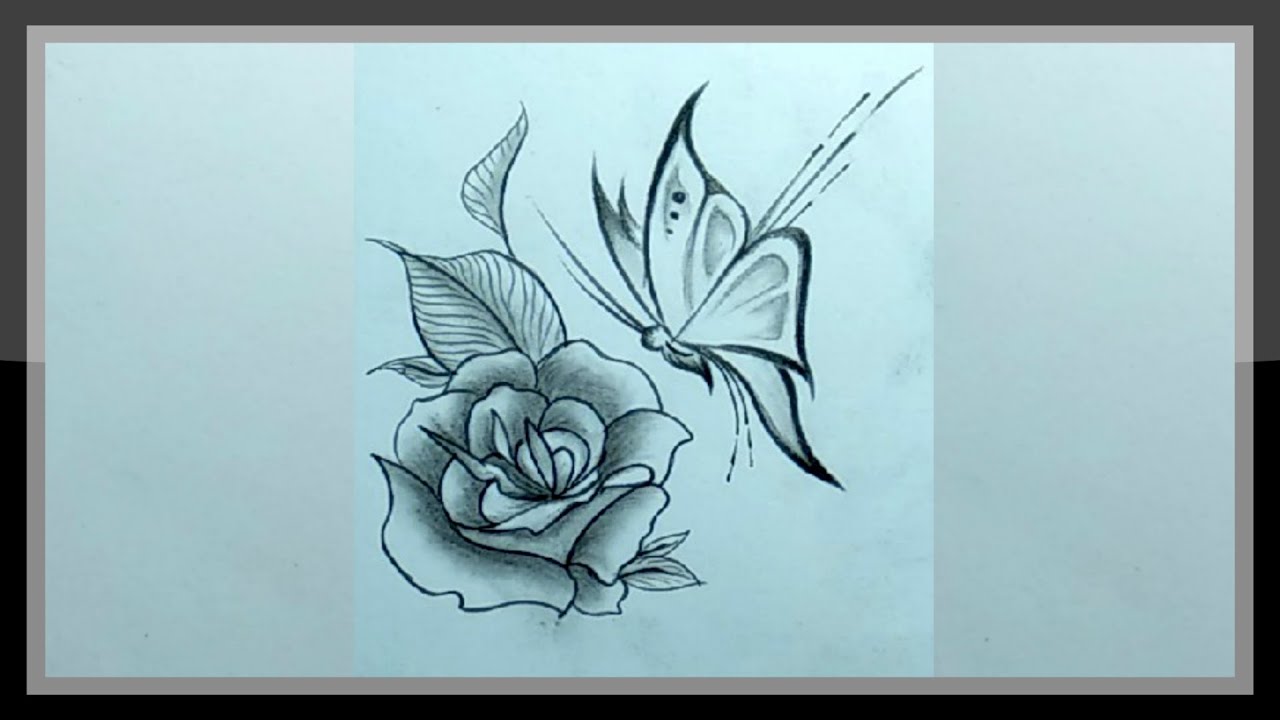 Drawing Beautiful Rose And Butterfly In Pencils Easy