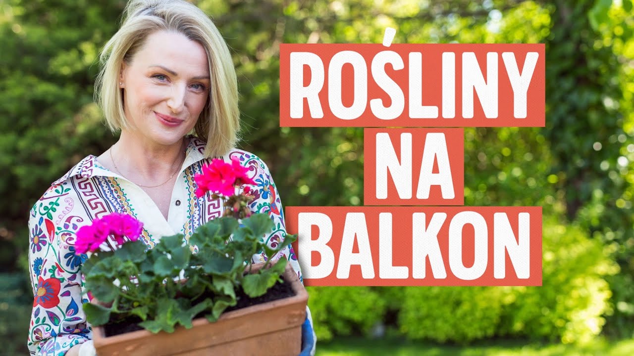Rośliny balkonowe i tarasowe - co zrobić, żeby pięknie rosły | Ula Pedantula #349