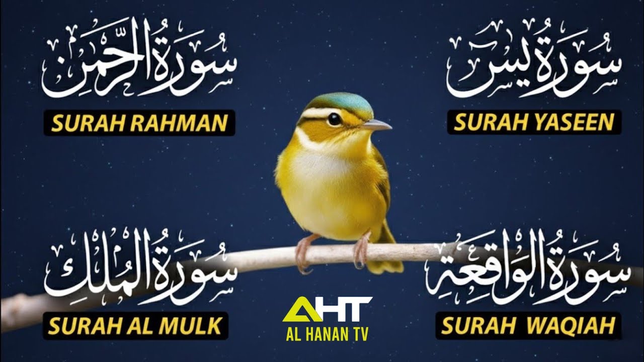 Calming & Beautiful Quran Recitation | Surah Yaseen • Surah Rahman •Surah Waqiah • Surah Mulk