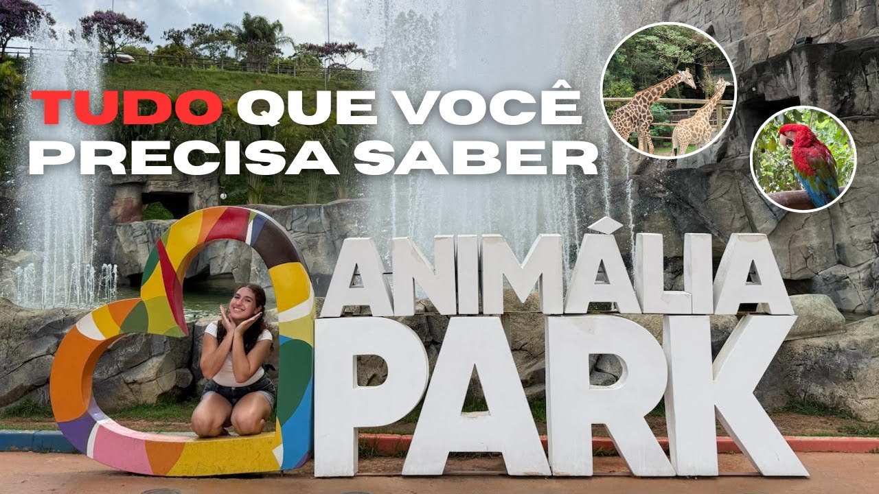 ANIMÁLIA PARK - TUDO O QUE VOCÊ PRECISA SABER!