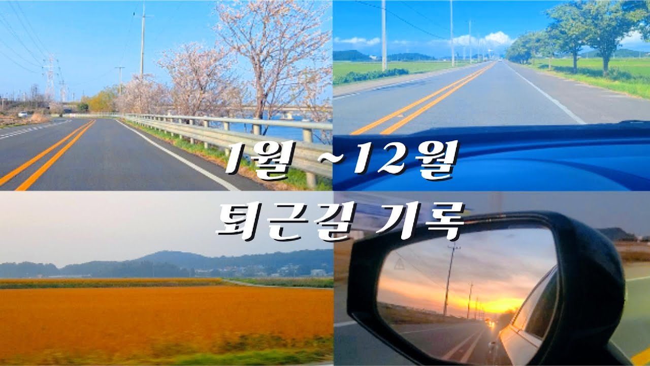50대 딩크  매일 퇴근하는 길 계절의 변화를 보고 싶어 영상으로 남겨봤습니다