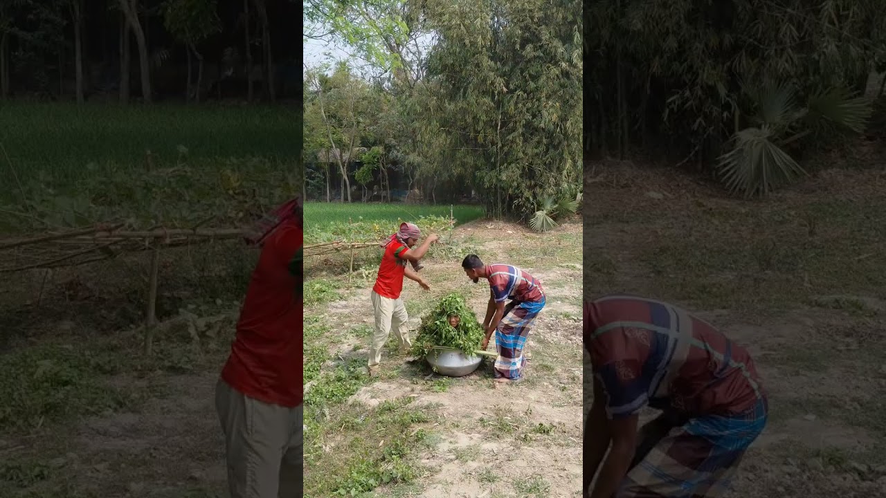 বুকের ভিতর কে 👍👍👍👍👍👍👍🦧