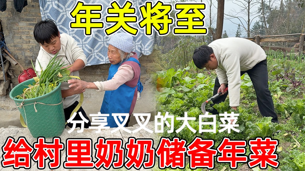 夫妻俩即将离开老房子  回镇上过年了，把自己种的菜分享给老人  给奶奶储备过年的蔬菜