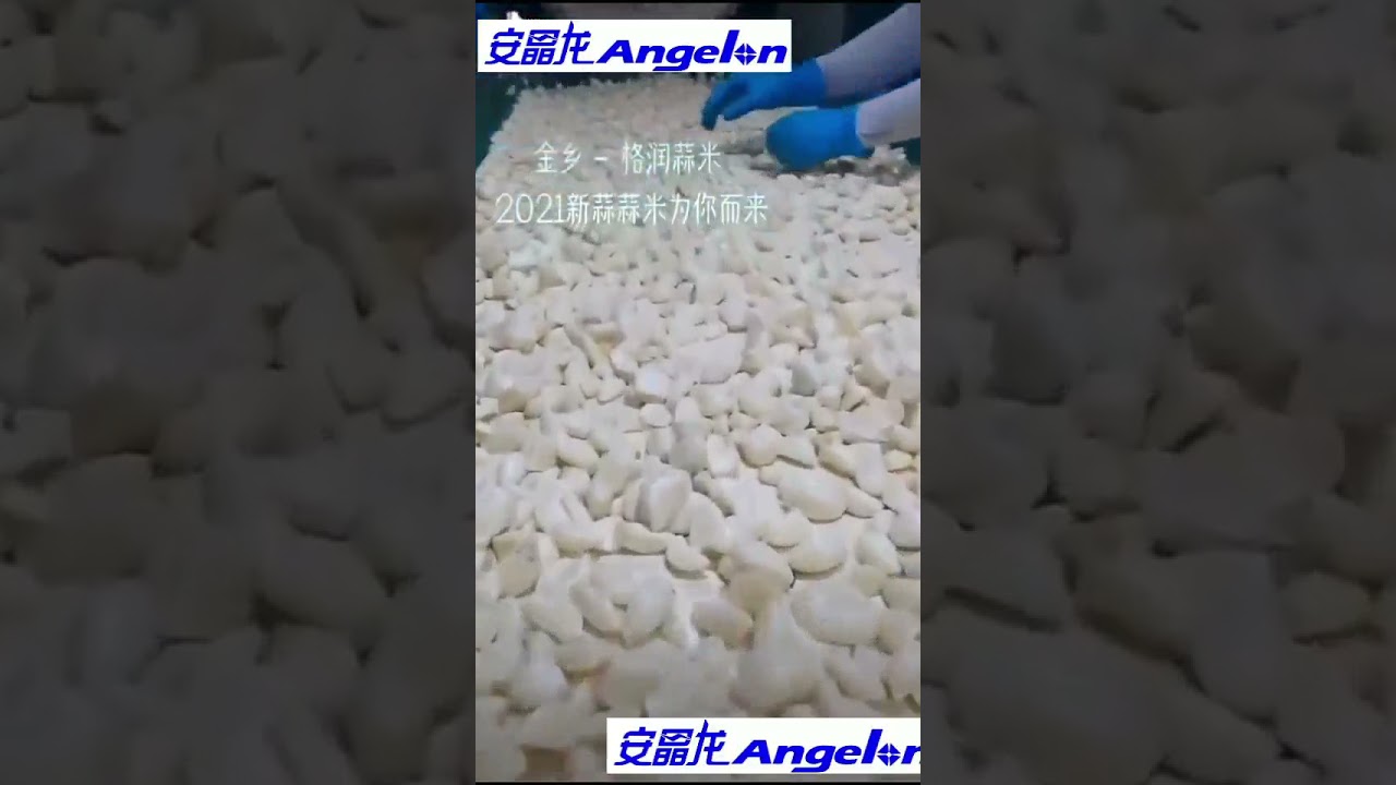 Angelon garlic color sorting machine in 2021/jasmine@ajlong.cn
