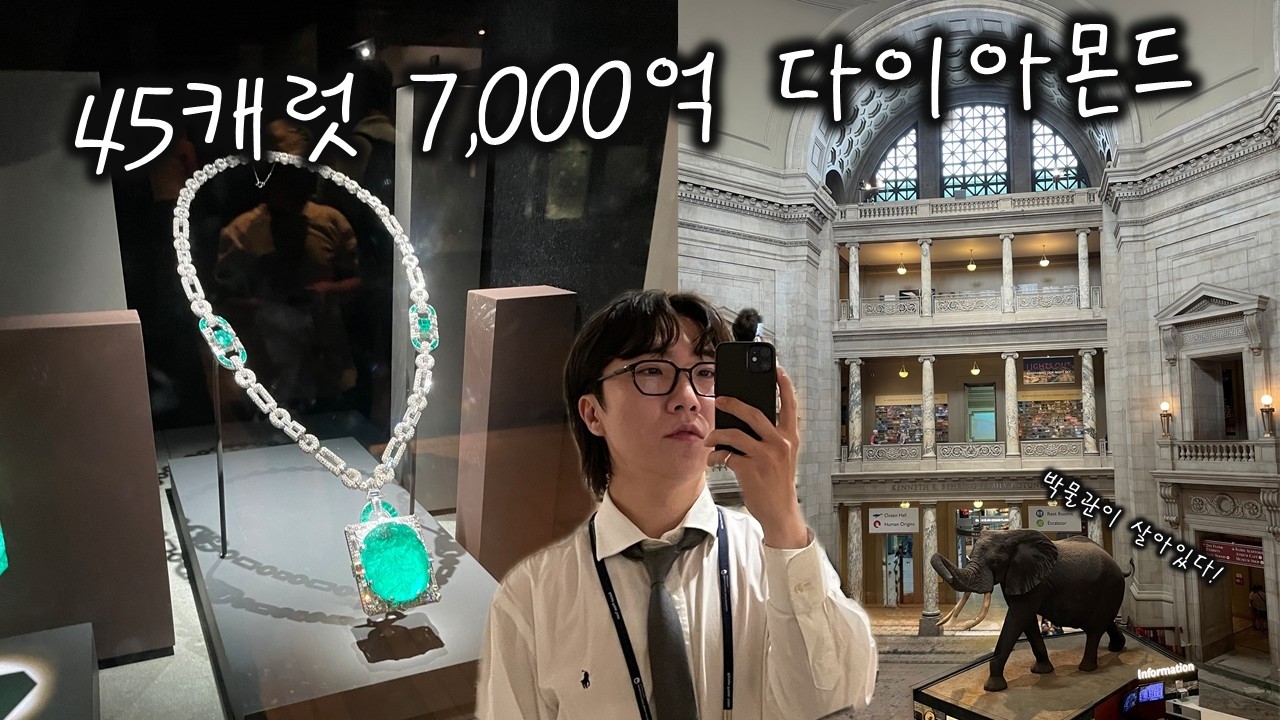 워싱턴DC 박물관, 미술관 이렇게만 보세요!