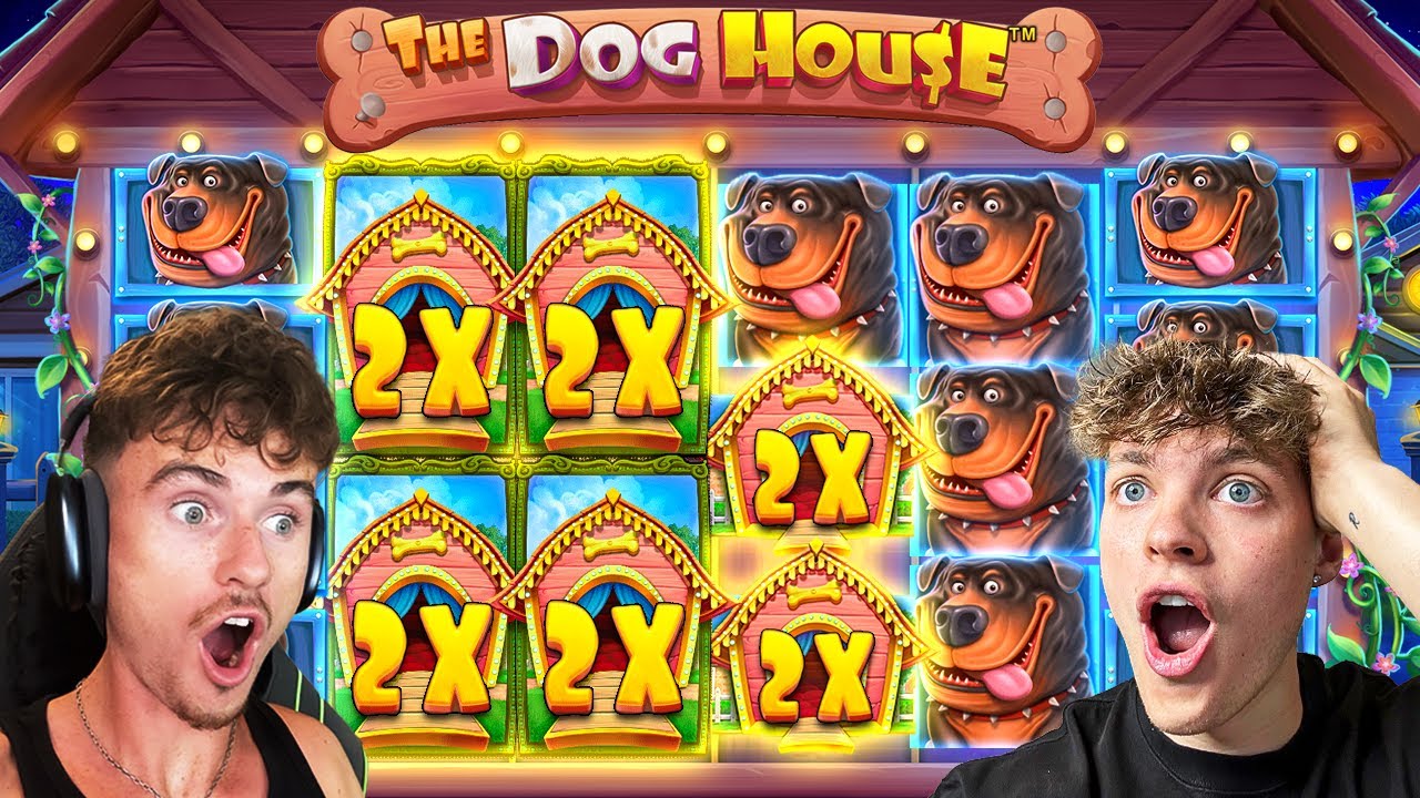 OUR BIGGEST EVER WIN ON THE DOG HOUSE MEGAWAYS! (TOP SYMBOL)