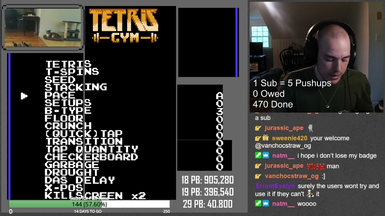 NEW CAT EMOTE | Maxout Grind NES Tetris