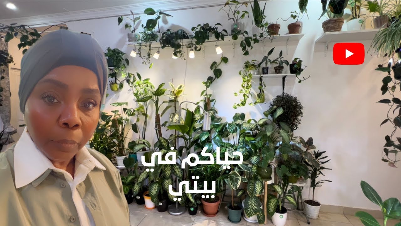جولة في حديقتي المنزليةو توزيع واضاءة 💡