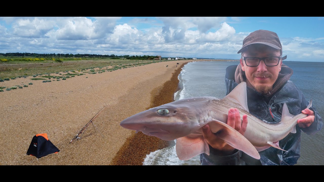 Beach Fishing in the Rain in Suffolk! | Smooth Hounds! Rays! & More! |