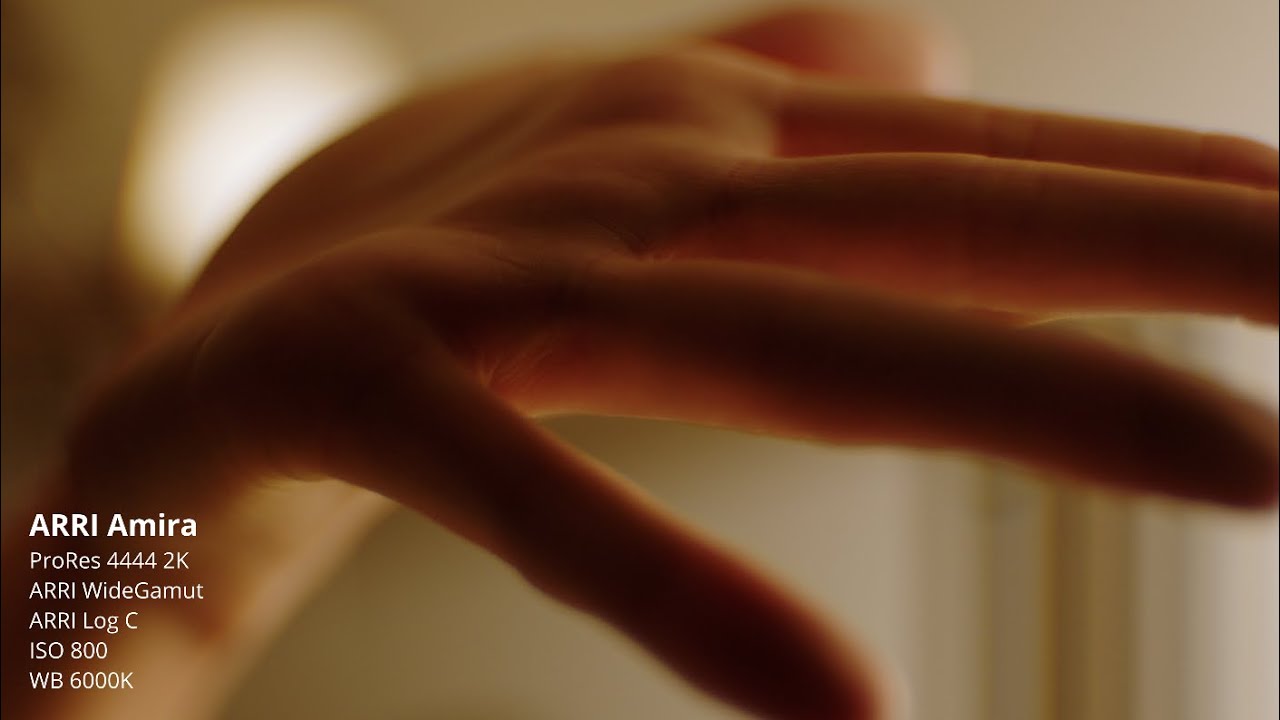 90 Seconds of ARRI Skintones