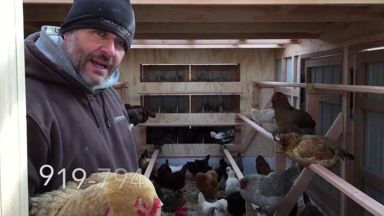 Trailer Chicken Coop