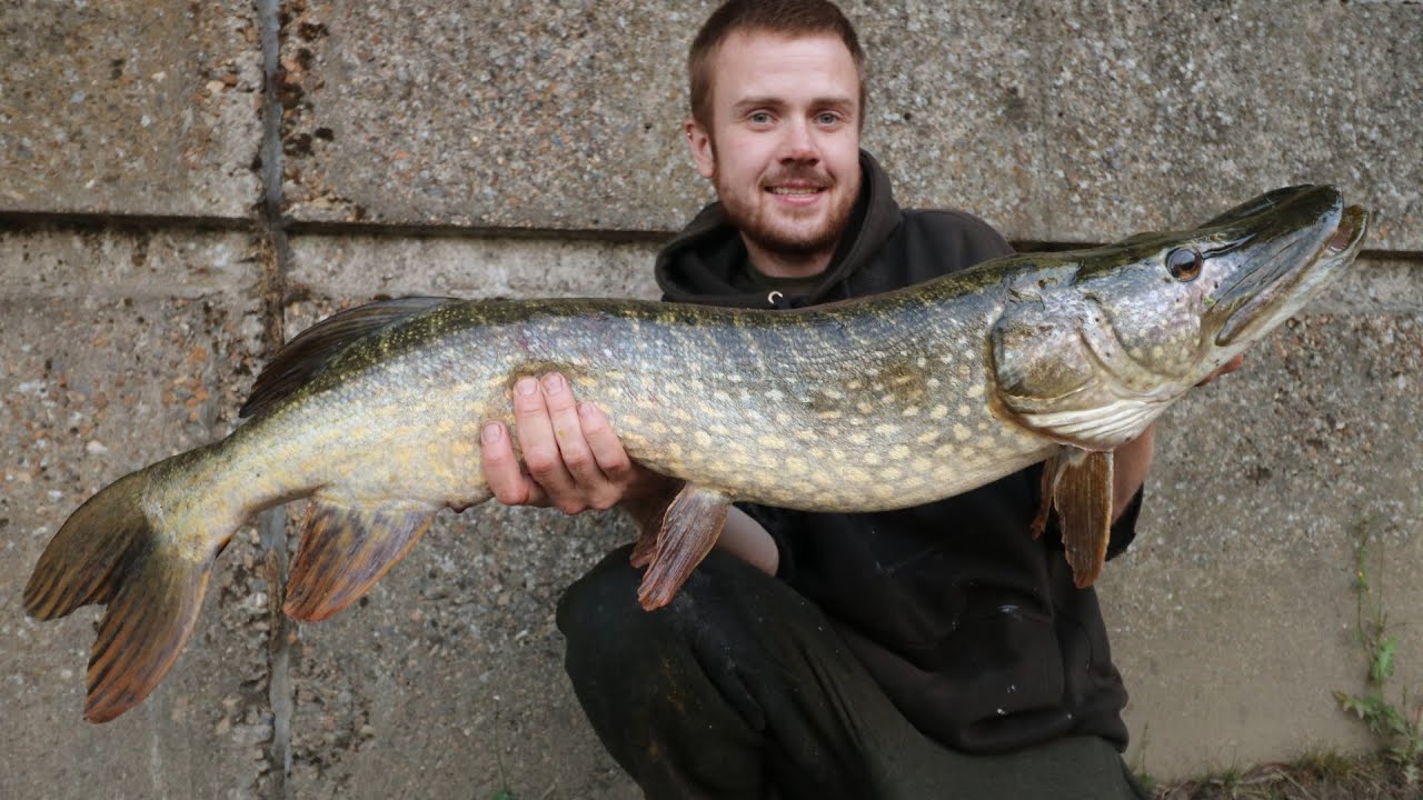 SCTV Episode 44: River Thames Pike Fishing Ft. Megan
