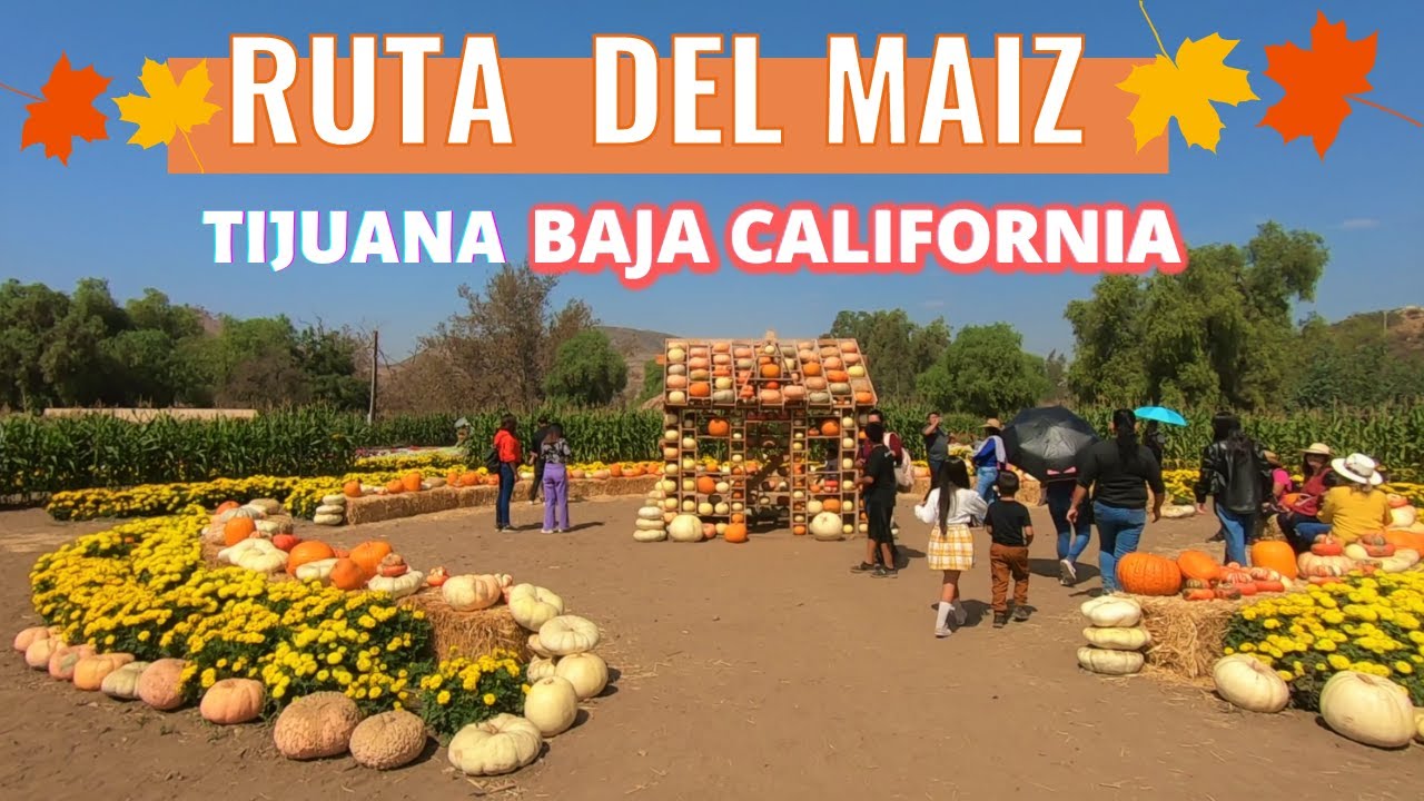 Ruta Del Maíz 2022 | Tijuana Baja California | De Aventuras