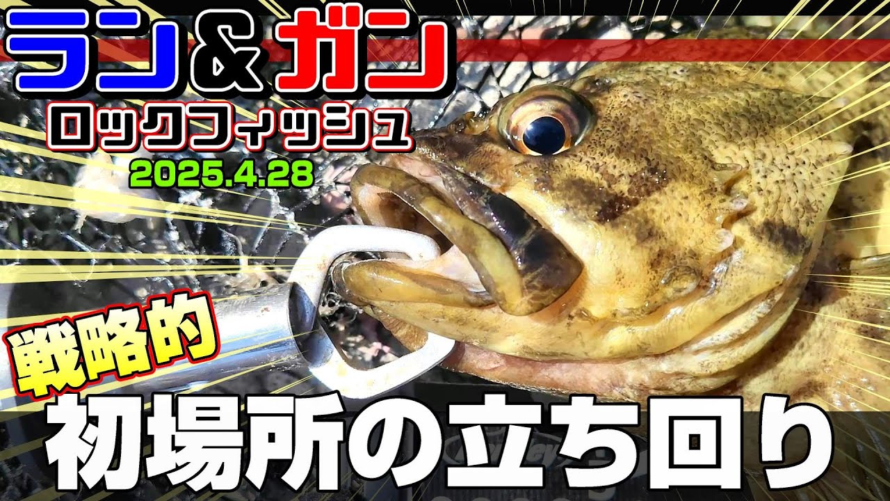 【ロックフィッシュ】初の漁港で尺ソイ炸裂！次に繋がる戦略的ラン＆ガン【地形調査】