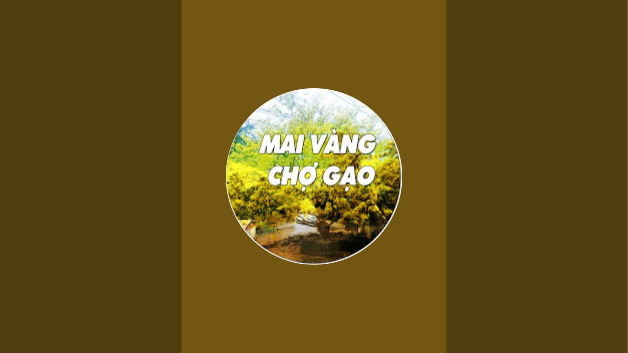 15/3/26 mai tàng mai phôi đẹp mời cả nhà xem ạ