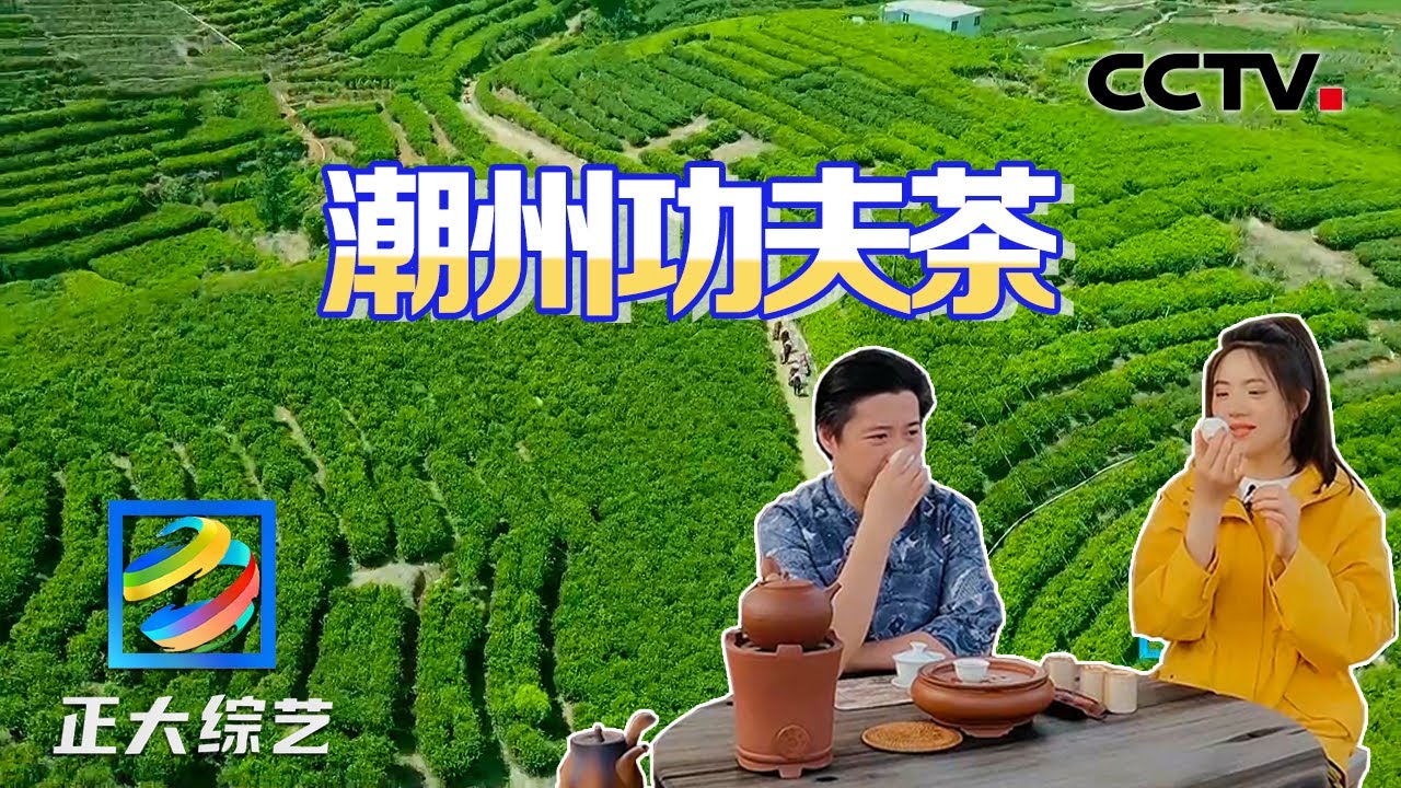 潮州人怎么泡工夫茶？偷得浮生半日闲，品一杯凤凰单丛茶 |  CCTV「正大综艺」