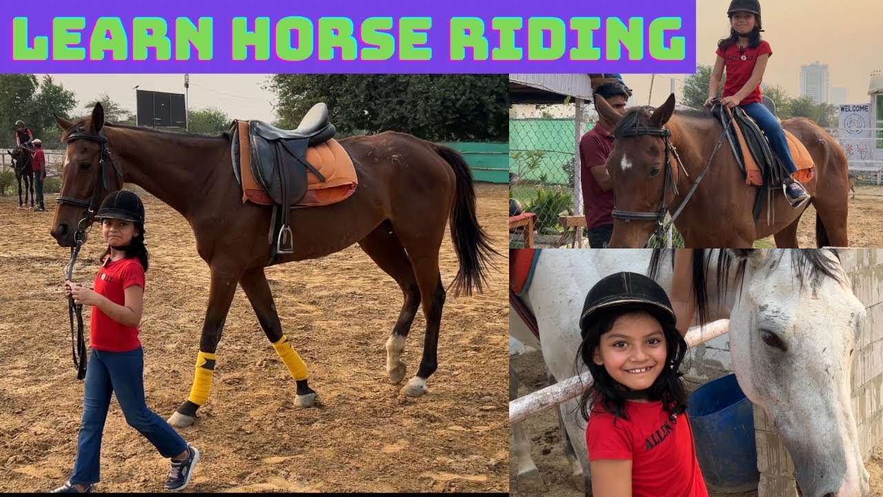 7 crore horse ? Where to learn horse riding in Delhi NCR | All about horses | Benefits of Riding