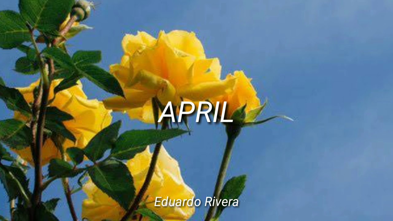 Beach Bunny - April (Sub. Esp)