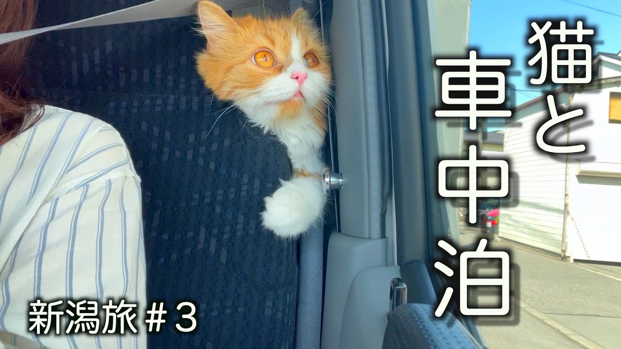 【新潟旅♯３】４泊５日夫婦と猫でキャンカー旅／巨大な道の駅と心地よい温泉へ