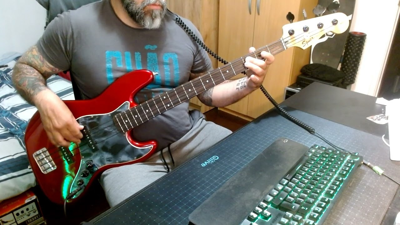Babes in Toyland - Bruise Violet [bass cover]