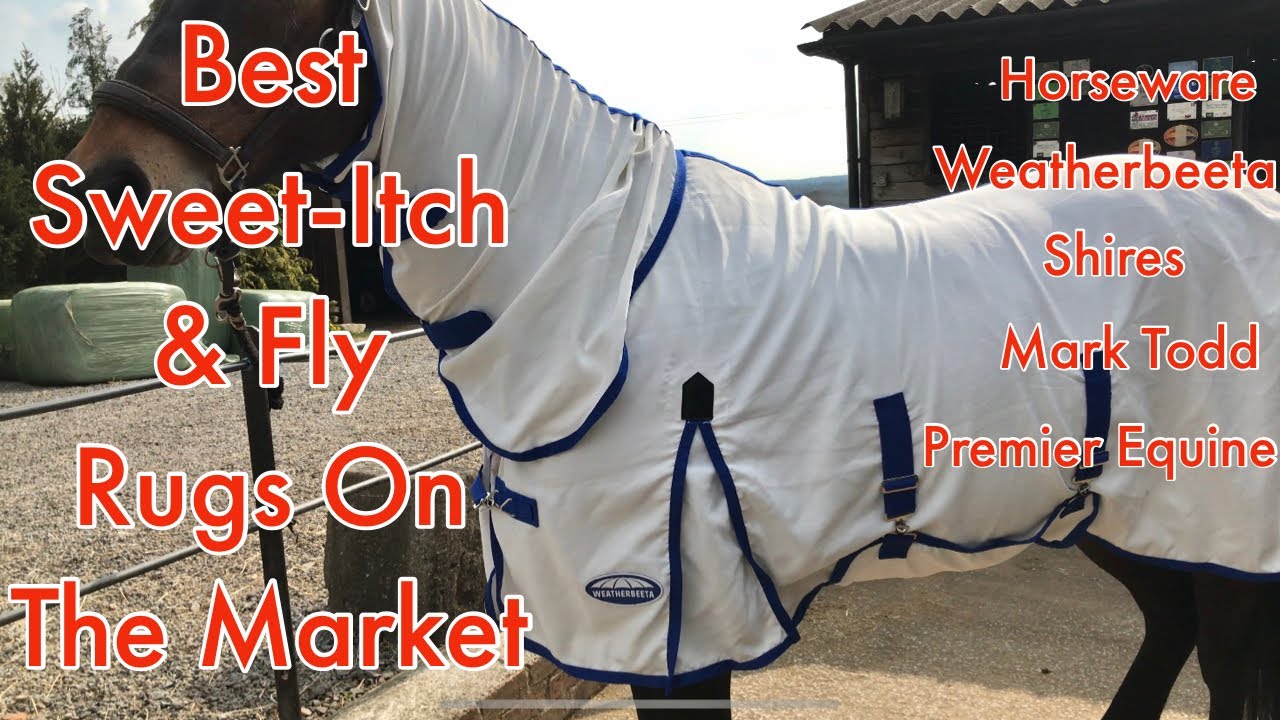 HORSE SWEET ITCH & FLY RUG REVIEWS | Equestrian Rugs | Equestrian Reviews