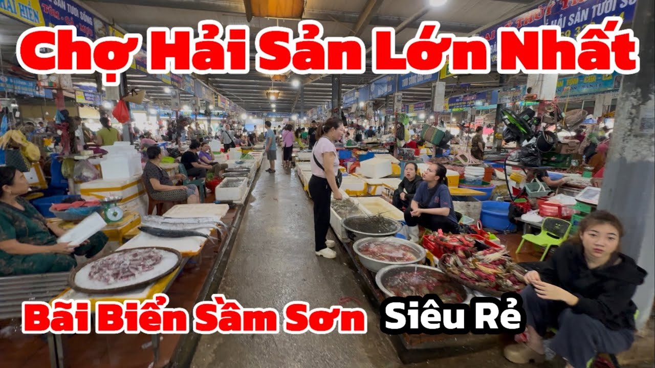 Chợ Hải Sản Lớn Nhất Sầm Sơn Thanh Hoá | Du Lịch Sầm Sơn 2025