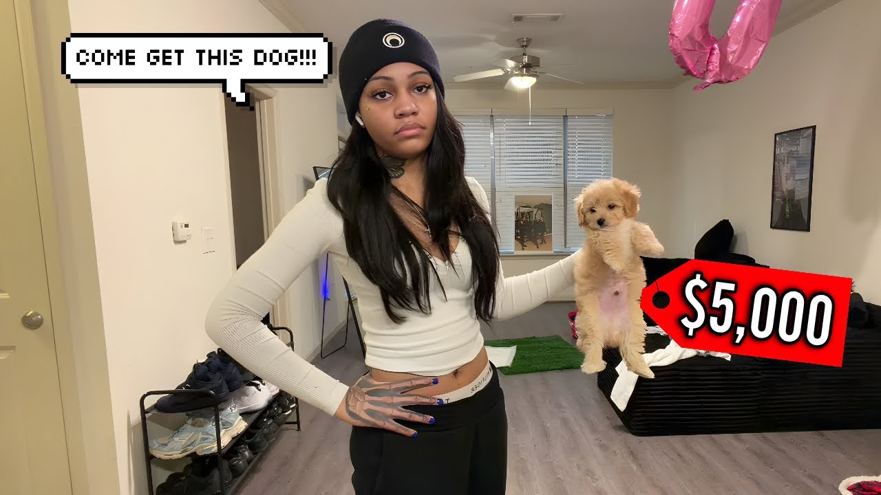 ASPEN KARTIER GETS A NEW DOG AND THIS WHAT HAPPENED!!!