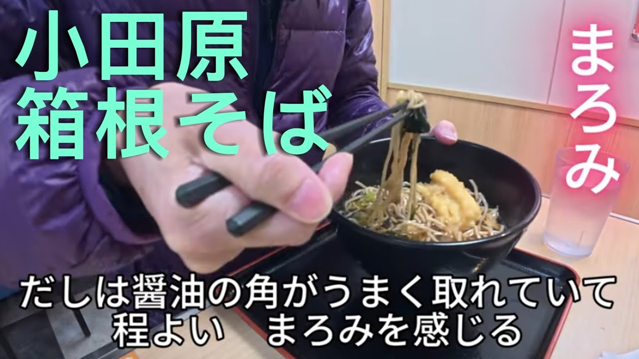 【小田原駅そば】駅構内で出会う至福の一杯🍜　老舗「箱根そば」の出汁に酔いしれる