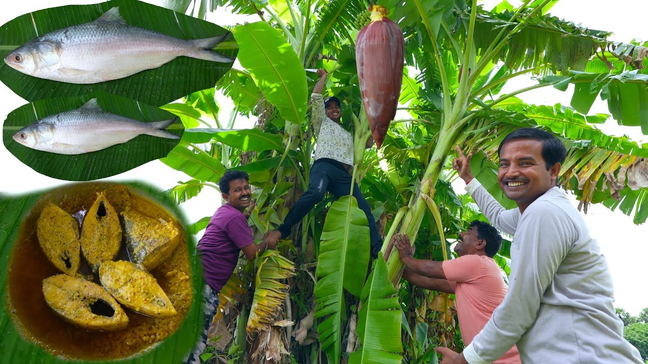 পূজা স্পেশাল সর্ষে ইলিশ সঙ্গে মোচার ঘন্ট রান্না খাওয়া | Puja festival special Hilsha fish recipe