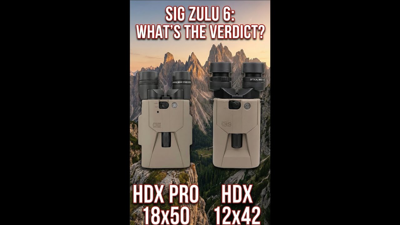 Sig Zulu 6 Stabilized Binocular - Whats the verdict?