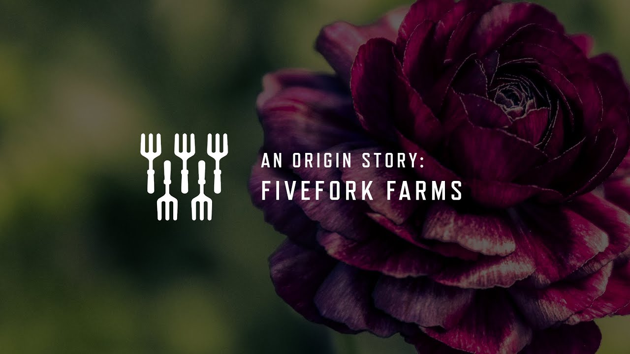 Five Fork Farms: An Origin Story