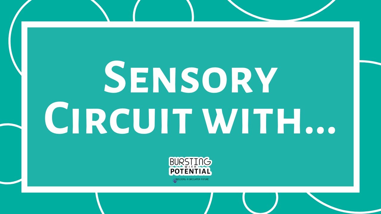 Sensory Circuits with... Chloe