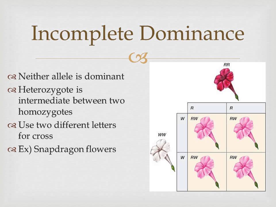 Unit 6 - Different Types of Dominance